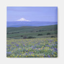 Pesquisar por mt hood imas Eua