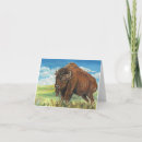 Pesquisar por bisonte cartoes Touro