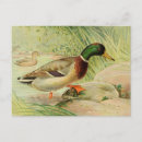 Pesquisar por antique cartoes postais Natureza