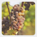 Pesquisar por vinho francês adesivos Uva