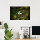 Pesquisar por flor do dogwood Natureza