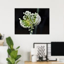 Pesquisar por flores preto e branco pósteres pôsteres Para eles