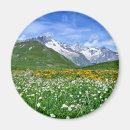 Pesquisar por switzerland imas Europe