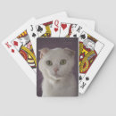 Pesquisar por dobra do scottish Gato