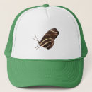 Pesquisar por asas bones Insetos