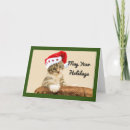 Pesquisar por gatinho papai noel cartoes Fofo