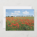 Pesquisar por poppy cartoes postais Paisagem