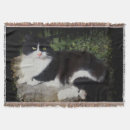 Pesquisar por cabelo preto mantas Animal