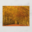 Pesquisar por pista no outono cartoes postais Árvores