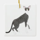 Pesquisar por rex ornamentos Animais