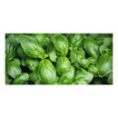 Pesquisar por ervas e especiarias pôsteres Jardim