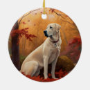 Pesquisar por folhas de outono ornamentos Animal