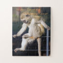 Pesquisar por macaco engraçado Citações