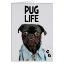 Pesquisar por vida do pug Gangsta
