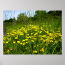 Pesquisar por trefoil Amarelo