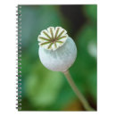 Pesquisar por school days cadernos de notas Natureza