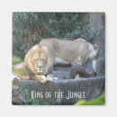 Pesquisar por animal selvagem imas Leão