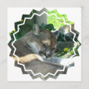 Pesquisar por puma Animal