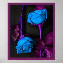 Pesquisar por amor floral outros Rosas