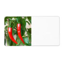 Pesquisar por especiarias etiquetas Pimentão