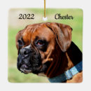 Pesquisar por marrons ornamentos Animais de estimação