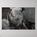 Pesquisar por rinocerontes pôsteres África