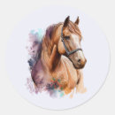 Pesquisar por cavalo ocidental adesivos Equestre