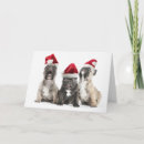 Pesquisar por french bulldog de cartoes Cute