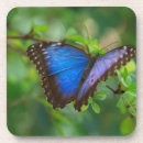 Pesquisar por morpho porta copos Azul