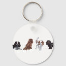 Pesquisar por cavalier king charles chaveiros Cães