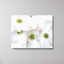 Pesquisar por oriental impressão de canvas Árvore