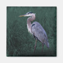 Pesquisar por grama azul imas Natureza