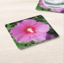 Pesquisar por bonito porta copos Cinza