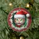 Pesquisar por olhos verdes ornamentos Natal