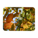 Pesquisar por espiões cartoes Espiões de folha