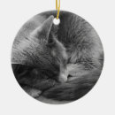 Pesquisar por adormecido ornamentos Gato