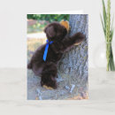Pesquisar por posse cartoes Urso