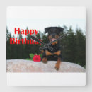 Pesquisar por rottweiler relogios de parede Podre