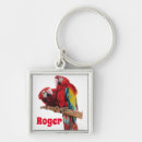 Pesquisar por papagaio do macaw For him