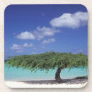 Pesquisar por aruba porta copos Costa