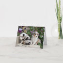 Pesquisar por pastor cartoes Céu