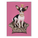 Pesquisar por filhote de cachorro da chihuahua cartoes postais Animal de estimação