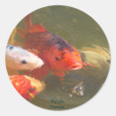 Pesquisar por koi adesivos Natureza