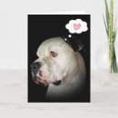 Pesquisar por coração americano cartoes Qualquer pessoa