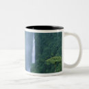 Pesquisar por schäfer canecas Floresta tropical