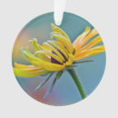 Pesquisar por olhos ornamentos Flores