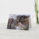 Pesquisar por persian cat cartoes postais Funny