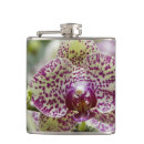 Pesquisar por detalhe cantis Flor