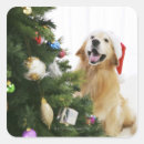 Pesquisar por golden retriever adesivos Natal