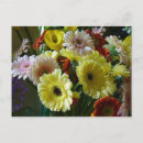 Pesquisar por gerberas cartoes postais Amarelo